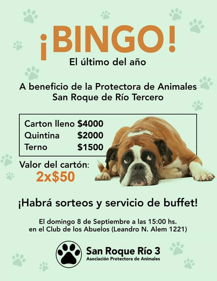 Domingo 8 de Septiembre  BINGO a beneficio de la Protectora de Animales