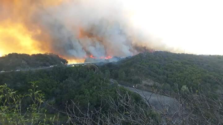 EL 95 POR CIENTO DE LOS INCENDIOS FORESTALES SON CAUSADOS POR EL HOMBRE