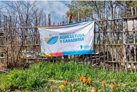 Huerta en tu Hogar: se lanzó la temporada primavera-verano