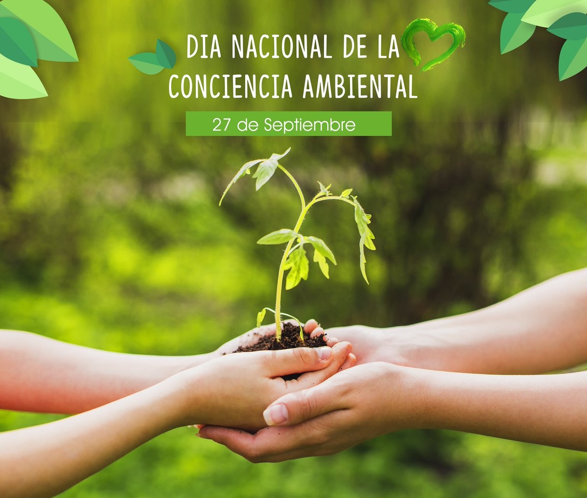 SCOTTO: ES UN DÍA PARA REFLEXIONAR SOBRE NUESTRA MANERA DE ACTUAR CON RESPECTO AL AMBIENTE