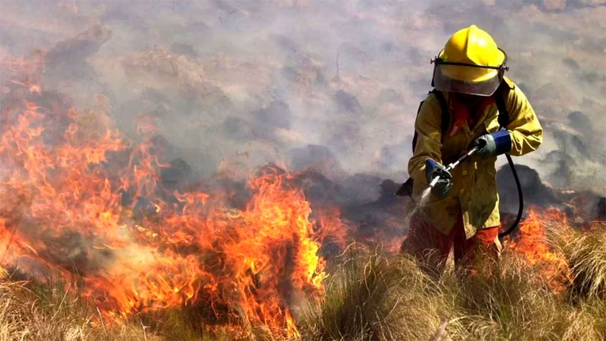 Roberto Schreiner: tenemos el combo perfecto para que se produzcan incendios