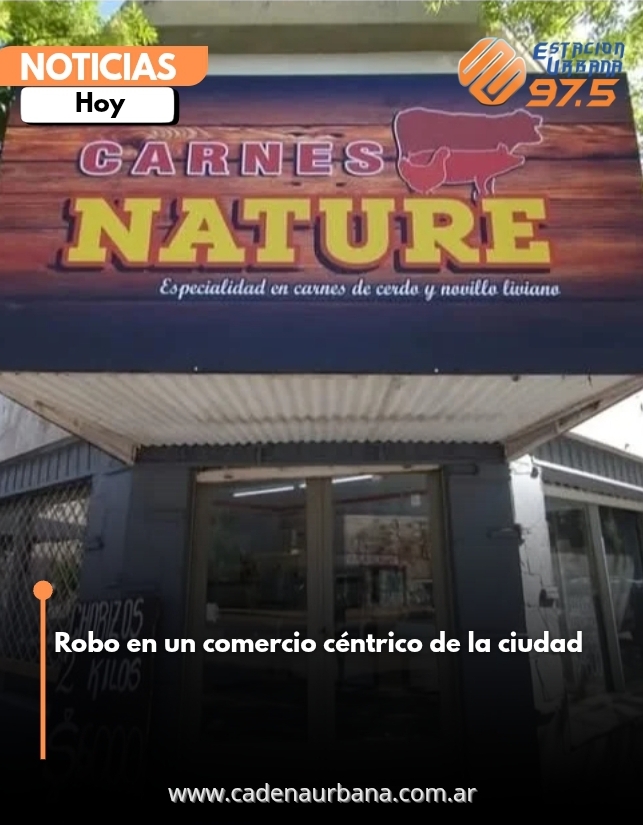 Robo en un comercio céntrico de la ciudad