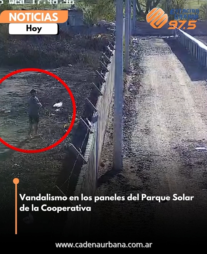 Vandalismo en los paneles del Parque Solar de la Cooperativa