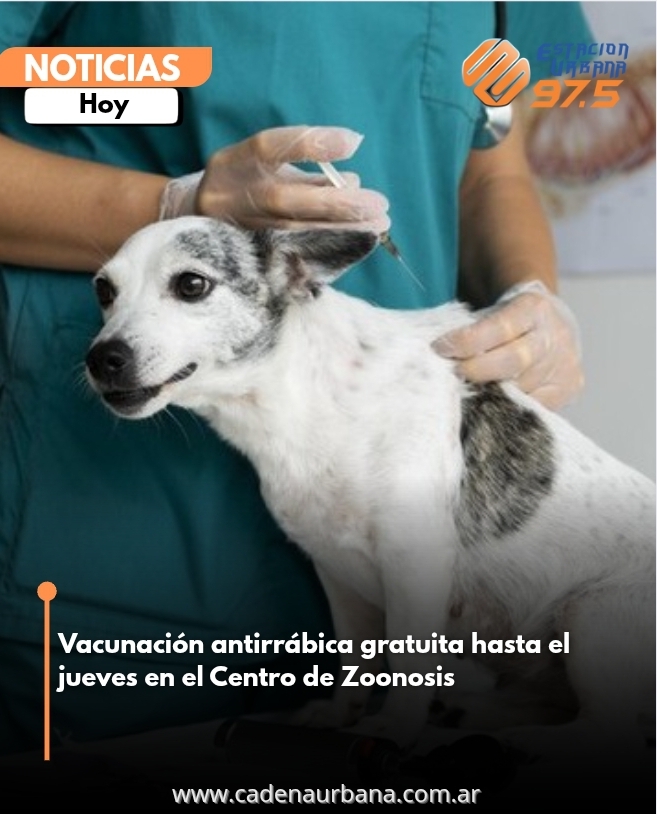 Vacunación antirrábica gratuita hasta el jueves en el Centro de Zoonosis