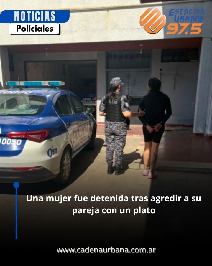 Una mujer fue detenida tras agredir a su pareja con un plato