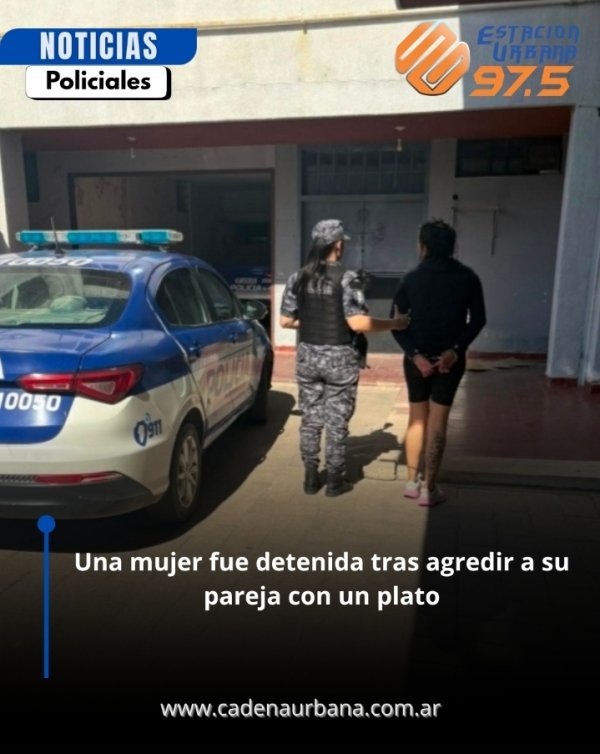Una mujer fue detenida tras agredir a su pareja con un plato