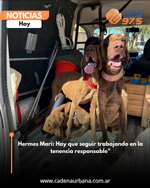 Hermes Mari: Hay que seguir trabajando en la tenencia responsable