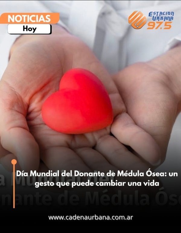 D&iacute;a Mundial del Donante de M&eacute;dula &Oacute;sea: un gesto que puede cambiar una vida