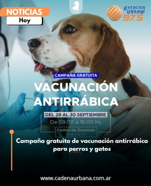 Campa&ntilde;a gratuita de vacunaci&oacute;n antirr&aacute;bica para perros y gatos