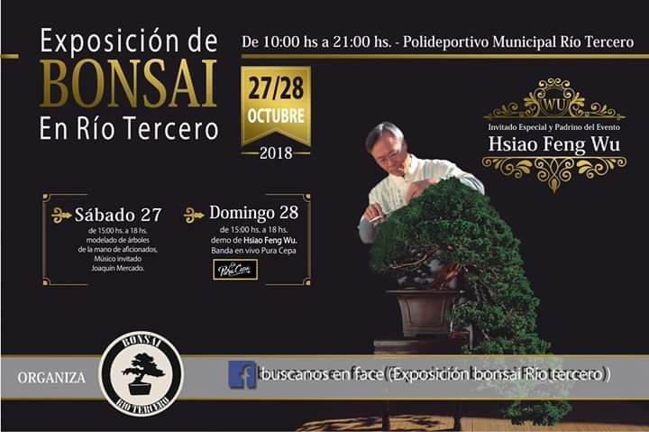 Exposici&oacute;n de Bonsai en nuestra ciudad