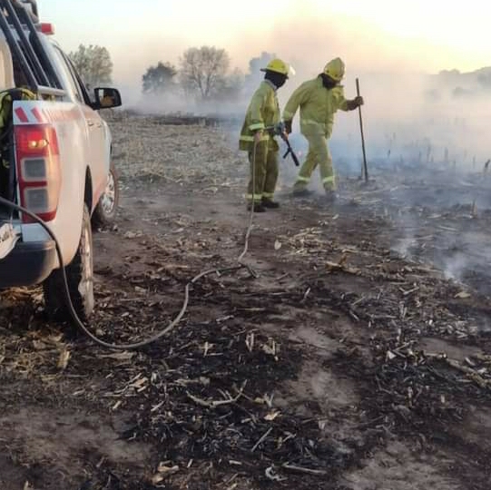 BOMBEROS COLABORARON EN INCENDIO EN ALMAFUERTE Y HOY ESTÁN EN CUCHI CORRAL