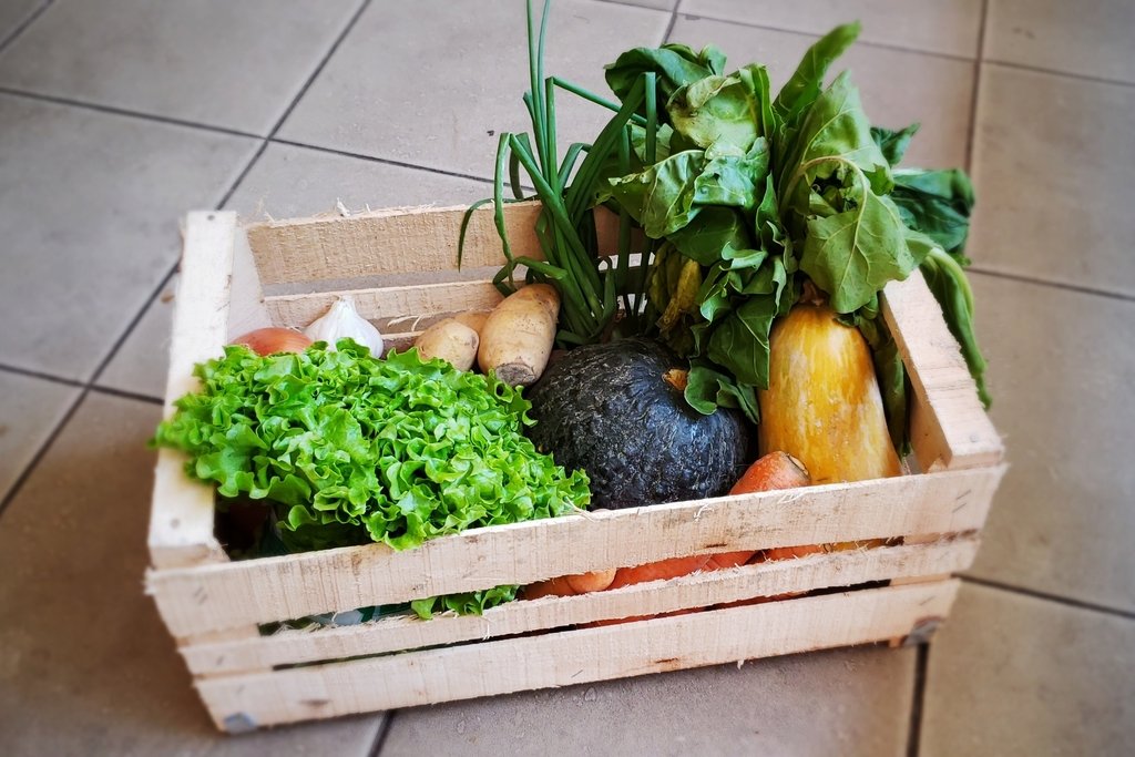 LAS FRUTAS Y VERDURAS SIGUEN AUMENTANDO Y SE ESPERA OTRO INCREMENTO IMPORTANTE PARA FIN DE AÑO