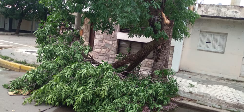 EL MUNICIPIO REALIZA UN RELEVAMIENTO DE LOS DAÑOS OCASIONADOS POR LA TORMENTA