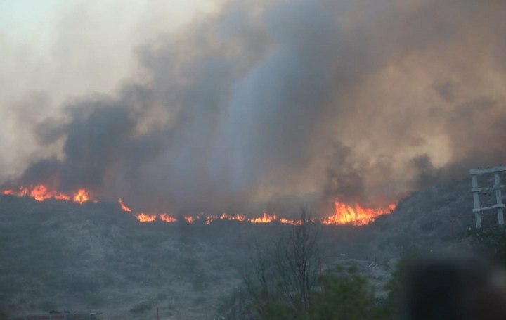 NOTICIAS + IVA : MARTÍN LLARYORA PIDE AGRAVAR LAS PENAS PARA QUIÉNES OCASIONEN INCENDIOS
