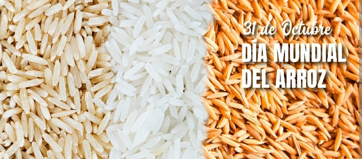 DÍA INTERNACIONAL DEL ARROZ: PROPIEDADES Y BENEFICIOS PARA LA SALUD 
