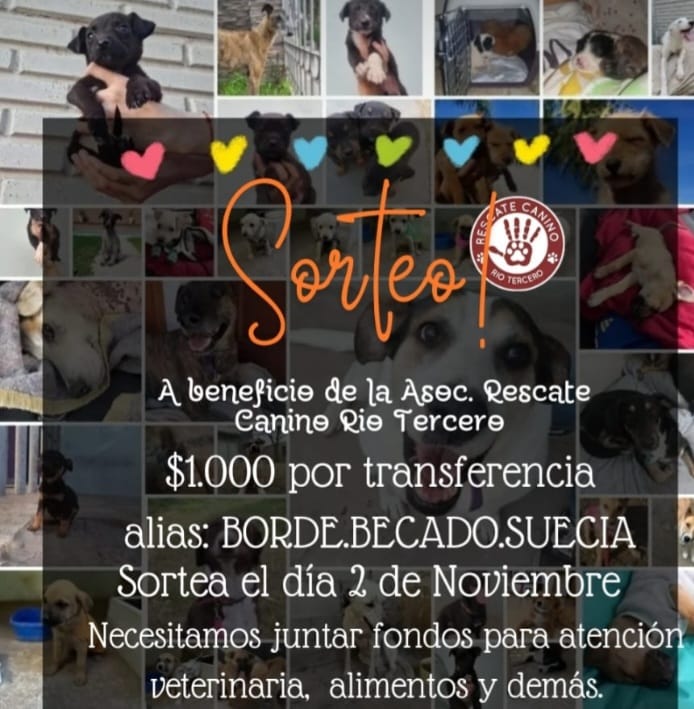 Rescate Canino organiza una rifa para solventar gastos veterinarios y de alimentación