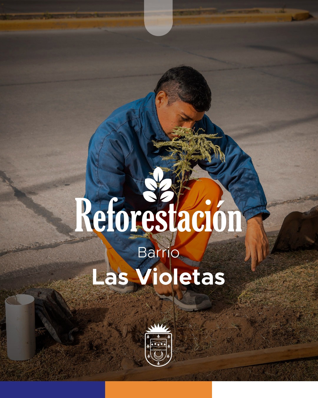 El próximo sábado se realizará una jornada de reforestación en Barrio Las Violetas