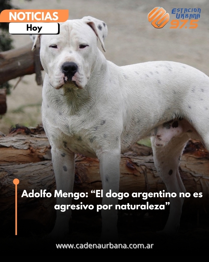 Adolfo Mengo: El dogo argentino no es agresivo por naturaleza