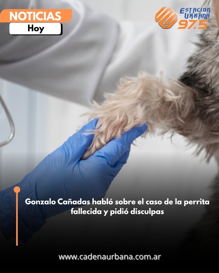 Gonzalo Ca&ntilde;adas habl&oacute; sobre el caso de la perrita fallecida y pidi&oacute; disculpas