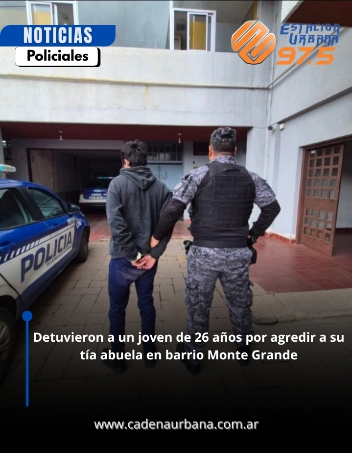 Detuvieron a un joven de 26 a&ntilde;os por agredir a su t&iacute;a abuela en barrio Monte Grande