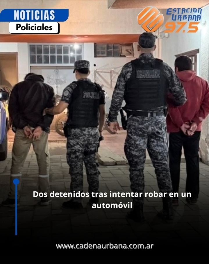 Dos detenidos tras intentar robar en un autom&oacute;vil