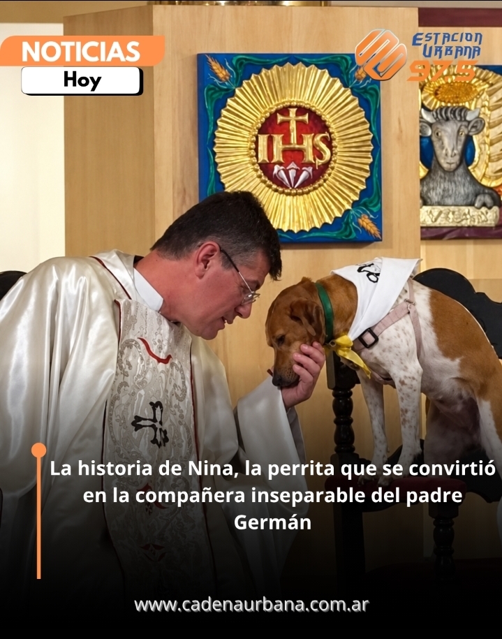 La historia de Nina, la perrita que se convirti&oacute; en la compa&ntilde;era inseparable del padre Germ&aacute;n