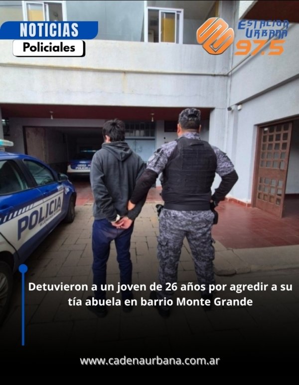 Detuvieron a un joven de 26 a&ntilde;os por agredir a su t&iacute;a abuela en barrio Monte Grande