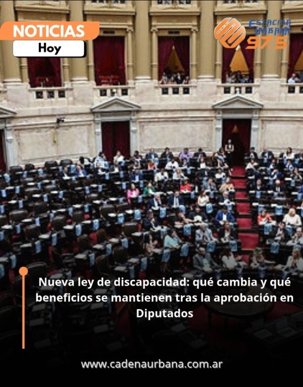 Nueva ley de discapacidad: qu&eacute; cambia y qu&eacute; beneficios se mantienen tras la aprobaci&oacute;n en Diputados