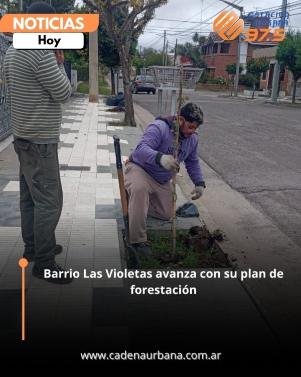 Barrio Las Violetas avanza con su plan de forestaci&oacute;n