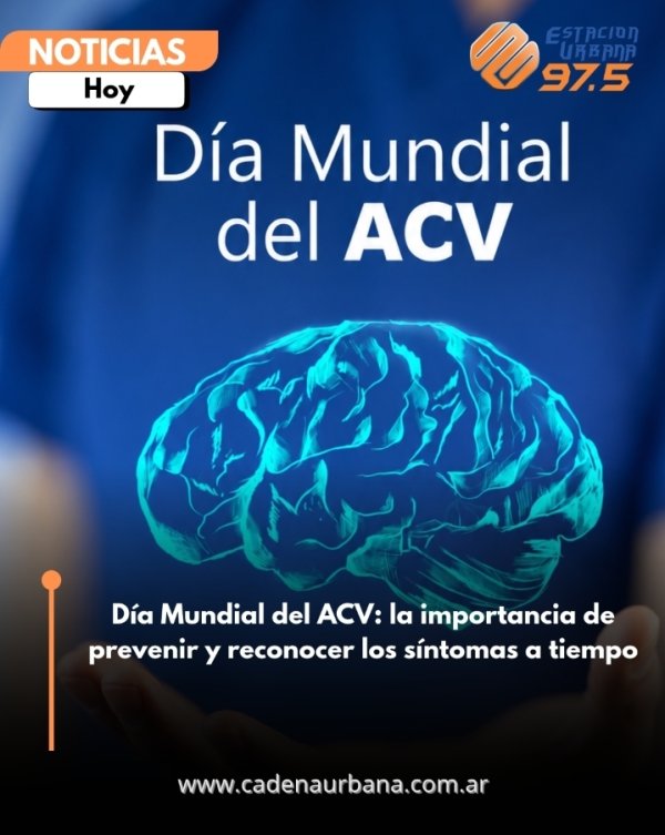 D&iacute;a Mundial del ACV: la importancia de prevenir y reconocer los s&iacute;ntomas a tiempo