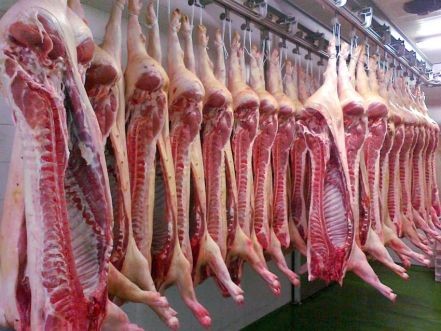 6 Casos de Triquinosis en un Frigor&iacute;fico de la ciudad