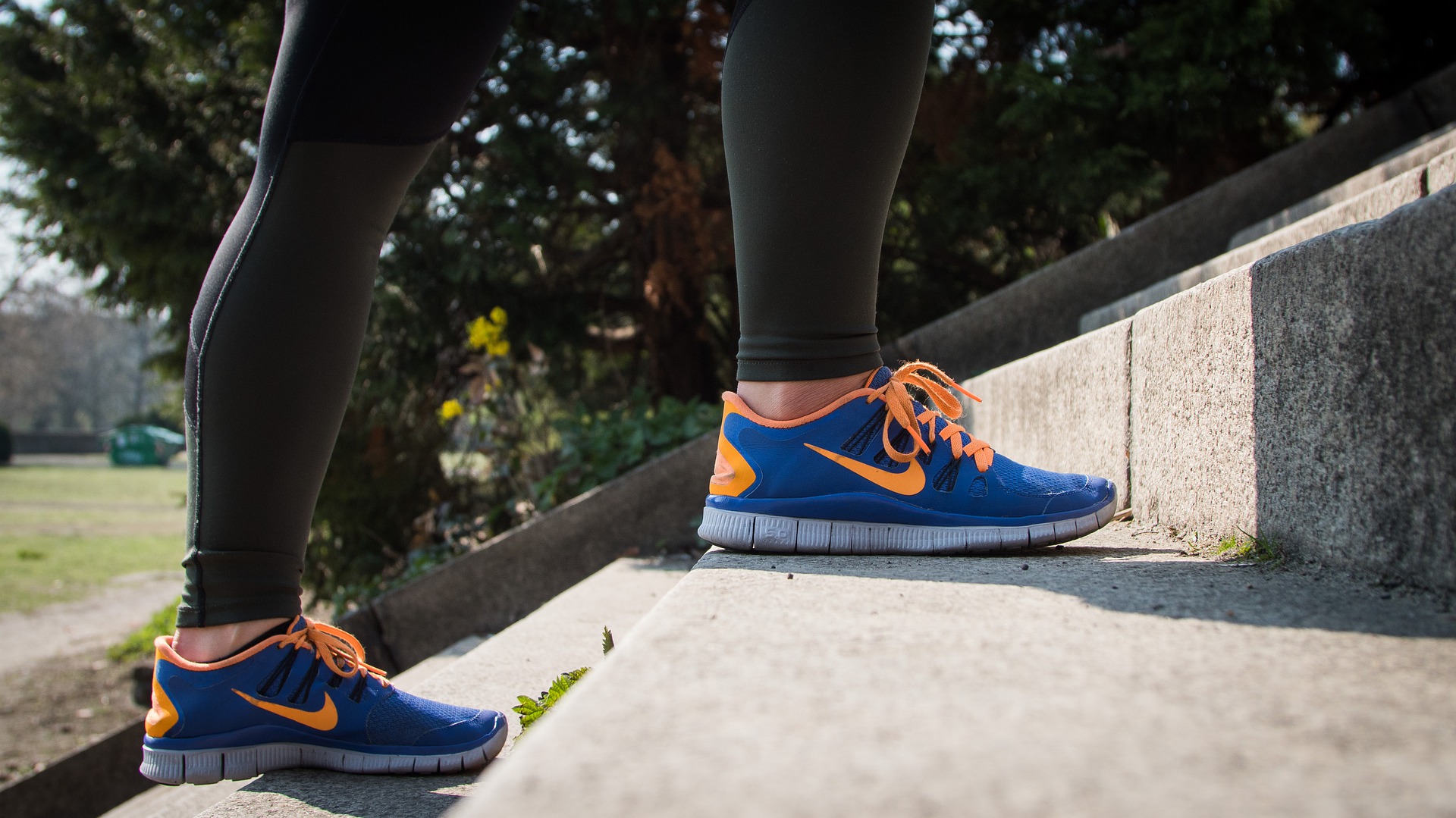 12 DE NOVIEMBRE: DÍA MUNDIAL DE LA OBESIDAD