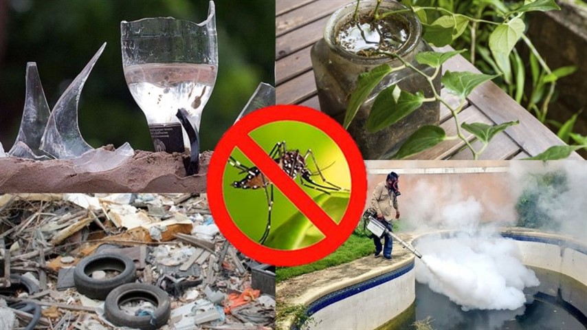 DENGUE: MAÑANA COMIENZA EL DESCACHARREO Y EN DICIEMBRE LA FUMIGACION