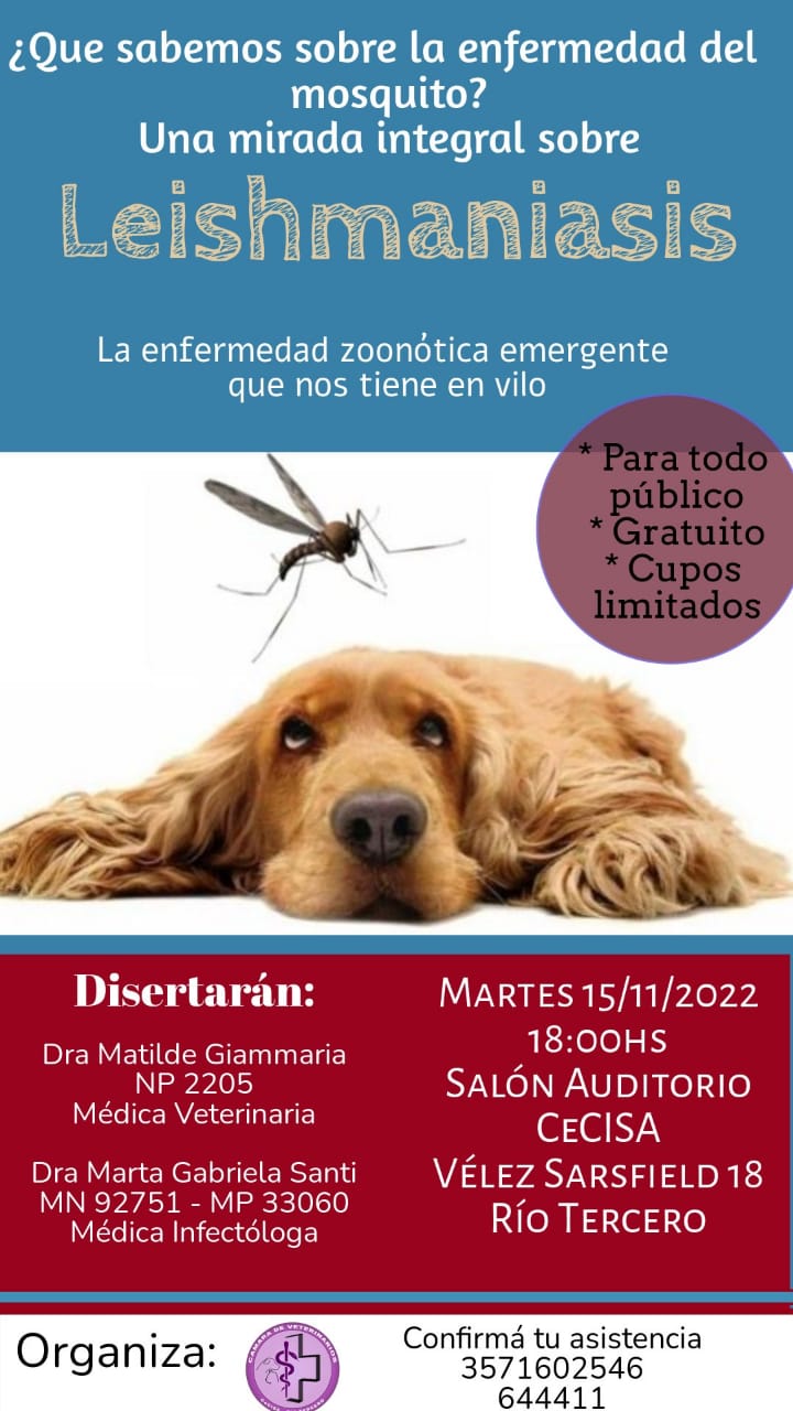LA INFECTÓLOGA MARTA SANTI NOS HABLÓ SOBRE LEISHMANIA