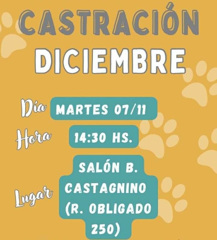 LA ASOCIACIÓN PROTECTORA OTORGA MAÑANA TURNOS DE CASTRACIÓN