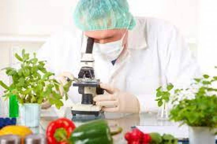 SE REALIZA EN VILLA MARÍA EL 2° CONGRESO DE BROMATOLOGÍA