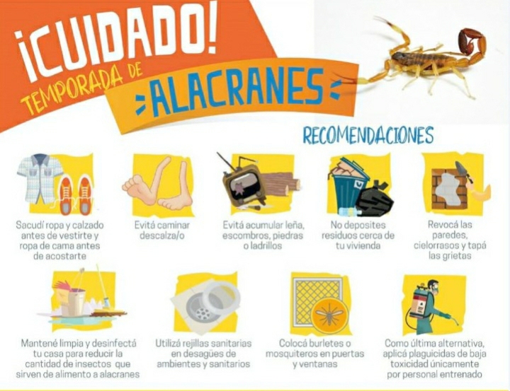 IMPORTANTES RECOMENDACIONES DEL MÉDICO WALTER BADOUL ANTE LA APARICIÓN DE ALACRANES