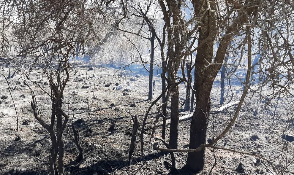 A un mes de los incendios, la Provincia ejecuta un plan de Remediación Social, Productivo y Ambiental por más de $15.600 millones