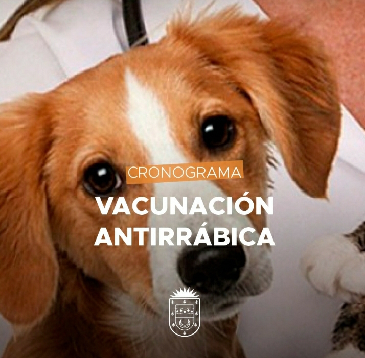 Desde el municipio continúan con la nueva campaña de vacunación antirrábica