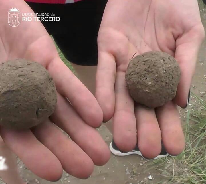 Diego Paulus (Secretario de Asuntos vecinales):“Es algo nuevo e innovador para la ciudad, fueron realizadas en el vivero municipal