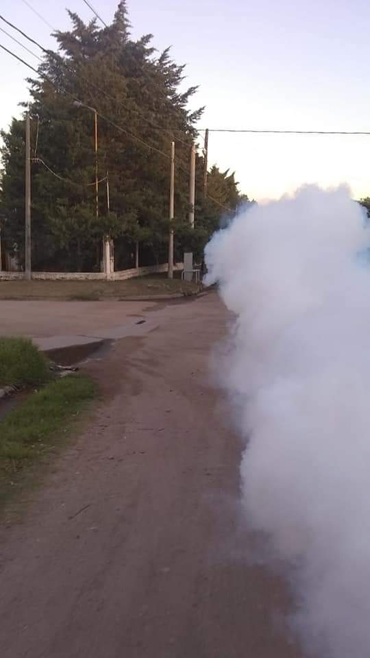 COMIENZA MAÑANA LA FUMIGACION CONTRA EL DENGUE