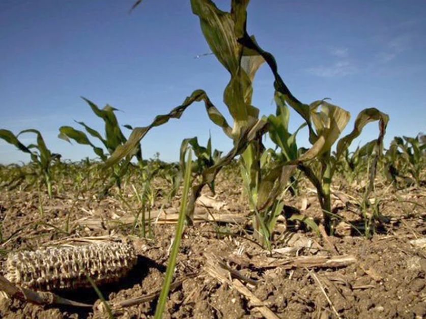 LA SEQUÍA COMPLICA LA SITUACIÓN DEL CAMPO