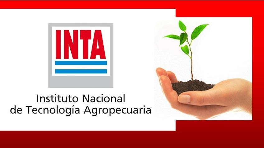 A 67 AÑOS DE LA CREACIÓN DEL INTA SE SIGUE APOSTANDO AL IMPULSO DE LA INNOVACIÓN Y AL DESARROLLO SOSTENIBLE