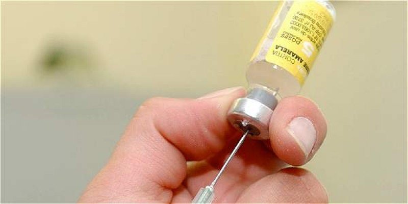 FIEBRE AMARILLA: SE RECOMIENDA COLOCARSE LA VACUNA