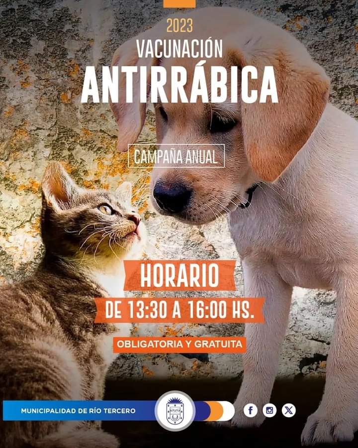 ACÉRCATE A VACUNAR A TU MASCOTA CONTRA LA RABIA: CRONOGRAMA DE ESTA SEMANA 
