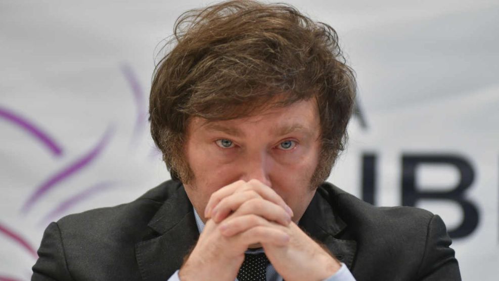 IGNACIO LIENDO: MILEI ESTÁ SIENDO USADO POR LOS GRANDES PODERES ECONÓMICOS PARA APROPIARSE DE ARGENTINA