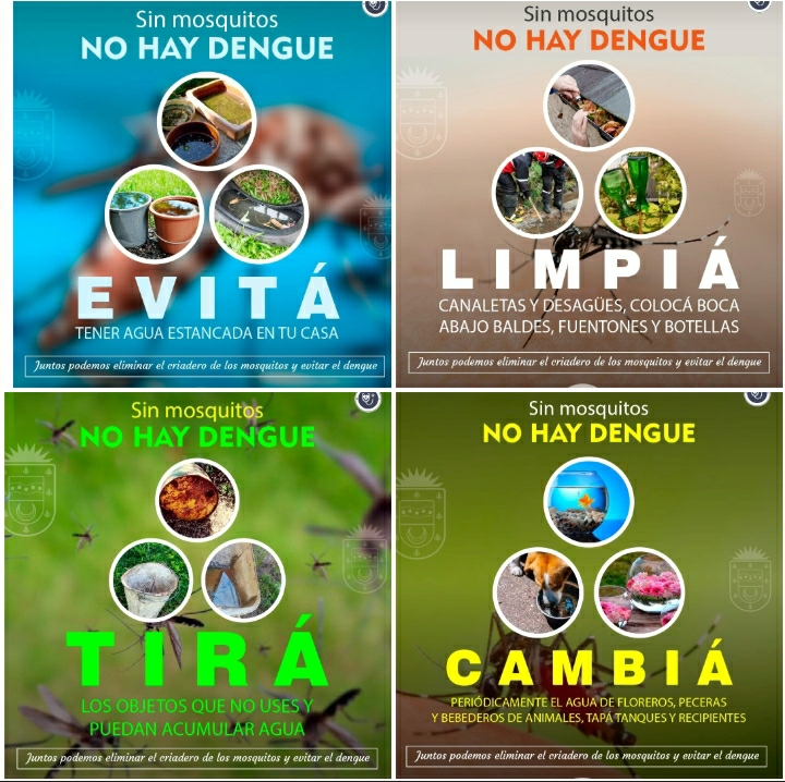 EVITEMOS EL DENGUE, FRENEMOS LA REPRODUCCIÓN DEL AEDES AEGYPTI