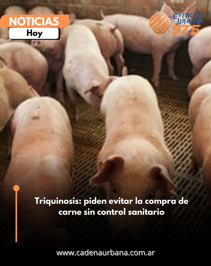 Triquinosis: piden evitar la compra de carne sin control sanitario